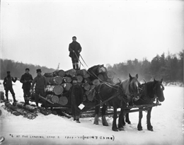 Five men on a log sled pulled by horses.