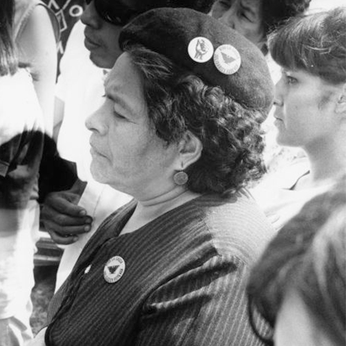 A Huelgusta (striker) against Fall River Canning Company with Obreros Unidos (United Workers), standing with a crowd. She is wearing round earrings, a black pin-striped jacket and a black beret. Pinned on her jacket is a United Farmerworkers (UFW) button with its eagle symbol and the message, 'Viva la Causa' (Long Live the Cause)/Solidarity Forever.'' On her beret are two buttons, with the same button on the right and a button with a clenched fist on the left. Grape boycotts in Wisconsin were organized by the local farm-worker labor union, Obreros Unidos, an independent farm worker labor union effort in the 1960s.            Huelguista en Cambria            Una huelguista contra la compañía Fall River Canning Company con Obreros Unidos, está parada entre una multitud. Está vistiendo aretes redondos, una chaqueta negra con rayas, y una boina negra. En su chaqueta trae un botón de United Farmerworkers (UFW) con el símbolo de la águila y el mensaje 'Viva la Causa'/'Solidaridad para Siempre' ('Solidarity Forever'). Tiene dos botones en su boina, con el mismo mensaje en el botón a la derecha y el botón a la izquierda con la imagen de un puño. Las huelgas en Wisconsin fueron organizadas por Obreros Unidos, un esfuerzo independiente del sindicato de trabajadores agrícolas durante los años 1960.